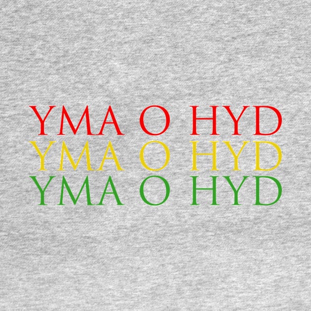 yma o hyd welsh slogan by SarahLCY